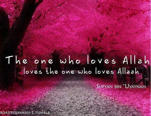 The One who loves Allah